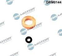 Dr.Motor Automotive DRM0144 Dichtungssatz, Einspritzdüse