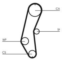 CONTINENTAL CTAM CT666 Zahnriemen