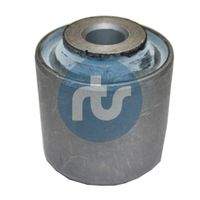 RTS 01700445 Lagerung, Lenker