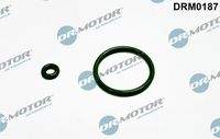 Dr.Motor Automotive DRM0187 Dichtungssatz, Einspritzdüse