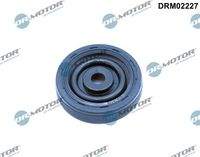 Dr.Motor Automotive DRM02227 Wellendichtring, Nockenwelle