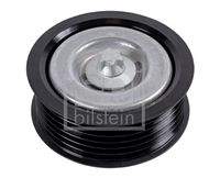 FEBI BILSTEIN 44976 Umlenk-/Führungsrolle, Keilrippenriemen