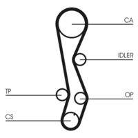 CONTINENTAL CTAM CT1030 Zahnriemen