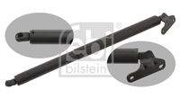 FEBI BILSTEIN 29338 Gasfeder, Koffer-/Laderaum