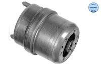 MEYLE 1001990074 Lagerung, Motor