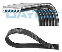 DAYCO 6PK1805 Keilrippenriemen