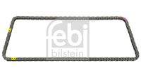 FEBI BILSTEIN 100067 Steuerkette