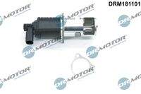 Dr.Motor Automotive DRM181101 AGR-Ventil