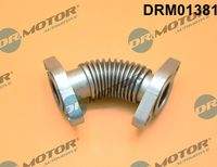 Dr.Motor Automotive DRM01381 Rohrleitung, AGR-Ventil