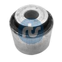 RTS 01700491 Lagerung, Lenker