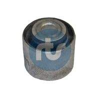 RTS 01700380 Lagerung, Lenker