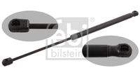 FEBI BILSTEIN 31646 Gasfeder, Koffer-/Laderaum