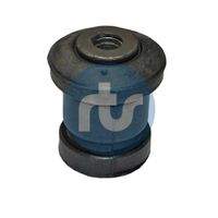 RTS 01700670 Lagerung, Lenker
