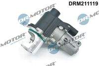 Dr.Motor Automotive DRM211119 AGR-Ventil