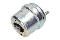 MAXGEAR 760216 Lagerung, Motor