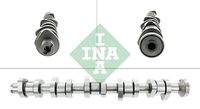 Schaeffler INA 428011110 Nockenwelle