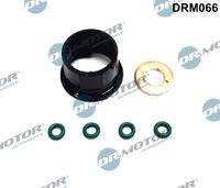 Dr.Motor Automotive DRM066 Dichtungssatz, Einspritzdüse