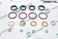 Dr.Motor Automotive DRM017SL Dichtungssatz, Einspritzdüse