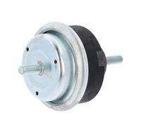 CORTECO 80000057 Lagerung, Motor
