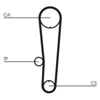 CONTINENTAL CTAM CT1017 Zahnriemen
