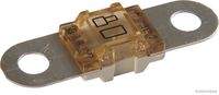 HERTH+BUSS ELPARTS 50295862 Sicherung