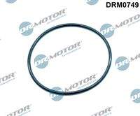 Dr.Motor Automotive DRM0749 Dichtung, AGR-Ventil