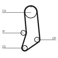 CONTINENTAL CTAM CT594 Zahnriemen