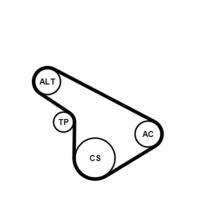 CONTINENTAL CTAM 5PK1212K1 Keilrippenriemensatz