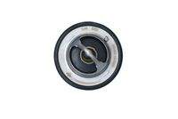 NRF 725193 Thermostat, Kühlmittel