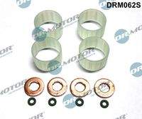 Dr.Motor Automotive DRM062S Dichtungssatz, Einspritzdüse