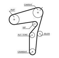 GATES 5623XS Zahnriemen