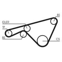 CONTINENTAL CTAM CT925 Zahnriemen
