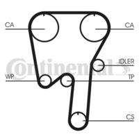 CONTINENTAL CTAM CT981 Zahnriemen