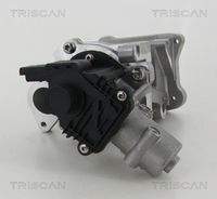 TRISCAN 881310007 AGR-Ventil