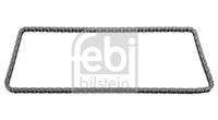 FEBI BILSTEIN 25179 Steuerkette