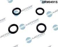 Dr.Motor Automotive DRM0491S Dichtring, Einspritzventil