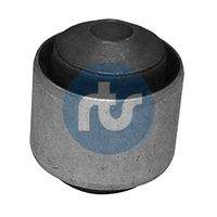 RTS 01700517 Lagerung, Lenker