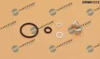 Dr.Motor Automotive DRM01312 Reparatursatz, Einspritzdüse
