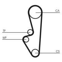 CONTINENTAL CTAM CT524 Zahnriemen