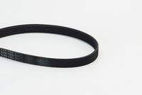 CONTINENTAL CTAM 5PK1355 Keilrippenriemen