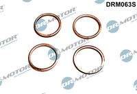Dr.Motor Automotive DRM063S Dichtring, Einspritzventil