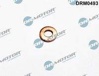 Dr.Motor Automotive DRM0493 Dichtring, Einspritzventil