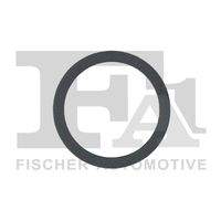 FA1 121962 Dichtring, Abgasrohr