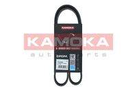 KAMOKA 7016036 Keilrippenriemen