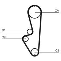 CONTINENTAL CTAM CT765 Zahnriemen