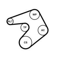 CONTINENTAL CTAM 6PK1244K1 Keilrippenriemensatz