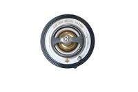 NRF 725132 Thermostat, Kühlmittel