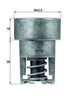 MAHLE TX9882 Thermostat, Kühlmittel