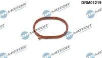 Dr.Motor Automotive DRM01219 Dichtring, Lader