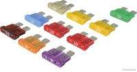 HERTH+BUSS ELPARTS 50296116066 Sicherungssatz